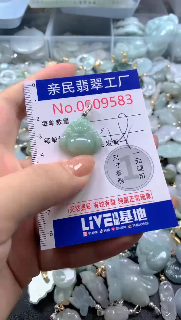 颈饰未镶嵌翡翠9583
