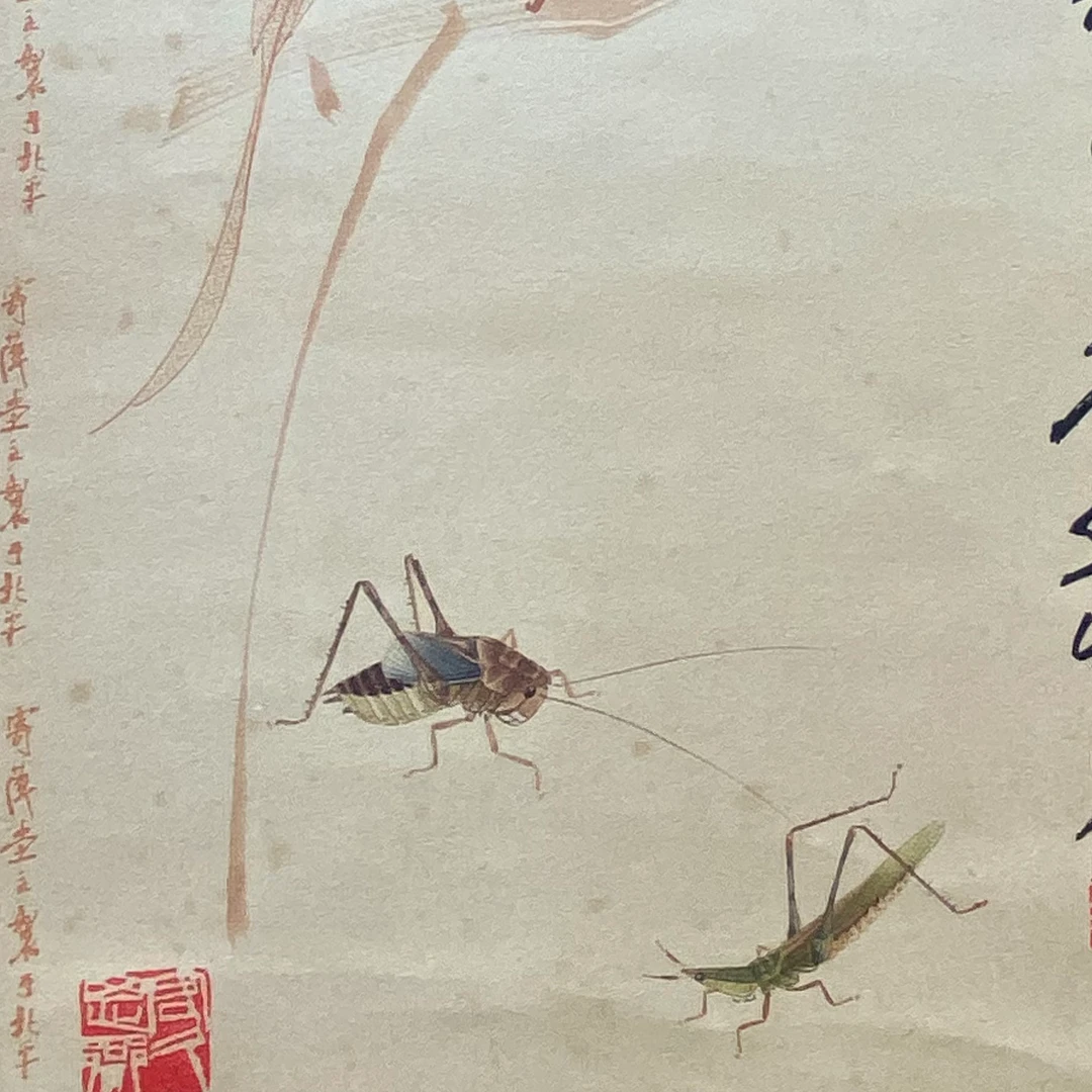 DY5427齐先生 花鸟 纸本37*26 2172