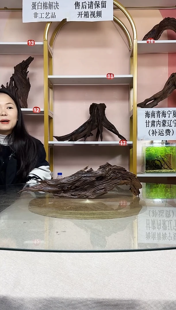 文****者紫柚木一物一拍A687