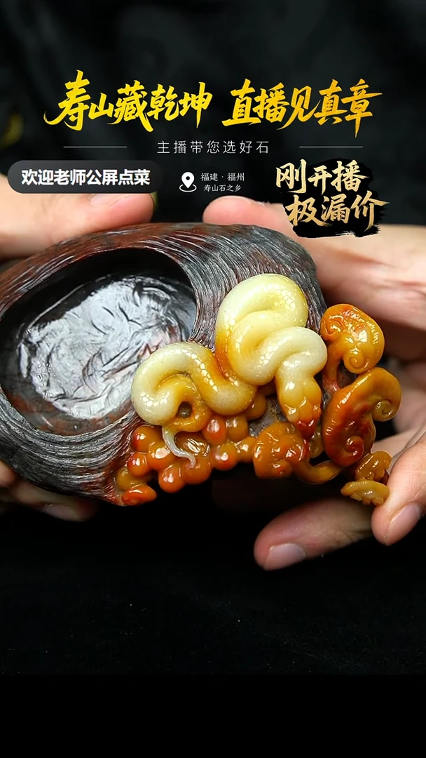 寿山石用****1五彩芙蓉灵蛇献瑞雅玩583.1克12.6x7.8x6.3，1LY