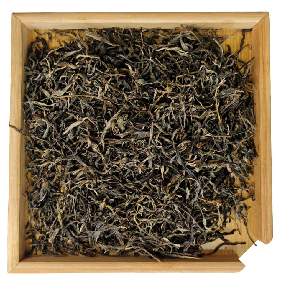 新人品鉴 2025年 倚邦大黑森林大树散生茶100g G-161 JD110