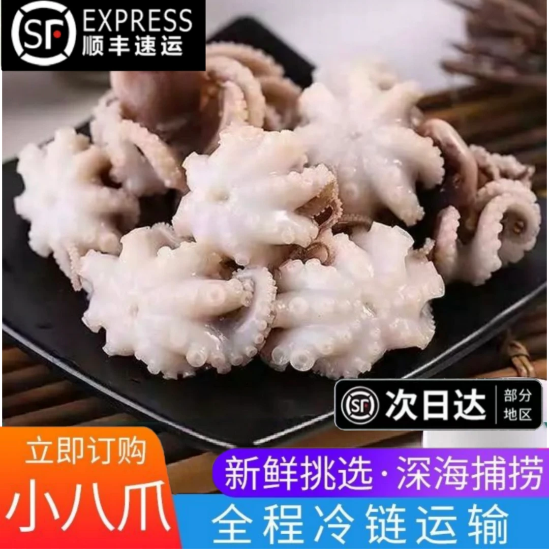 小八爪鱼鲜活冷冻生鲜海鲜水产迷你爆头麻辣火锅食材小章鱼可商用