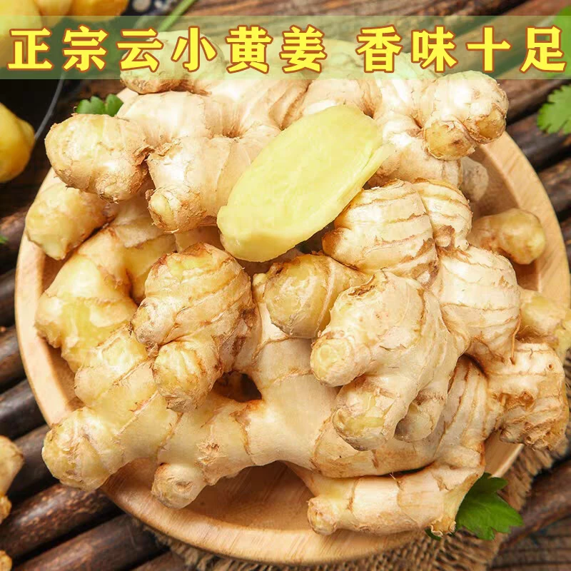 云南小黄姜生姜新鲜包邮老姜现挖月子姜