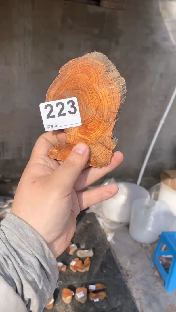 【闪购商品】柏木太行陈化崖柏（津诚林）切片