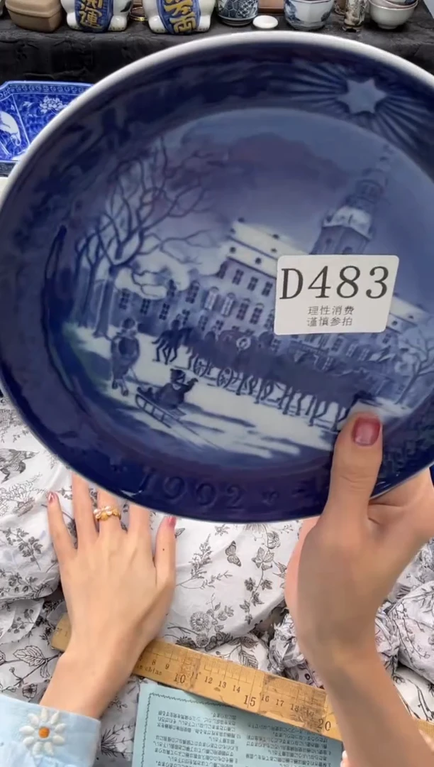 瓷片       D483