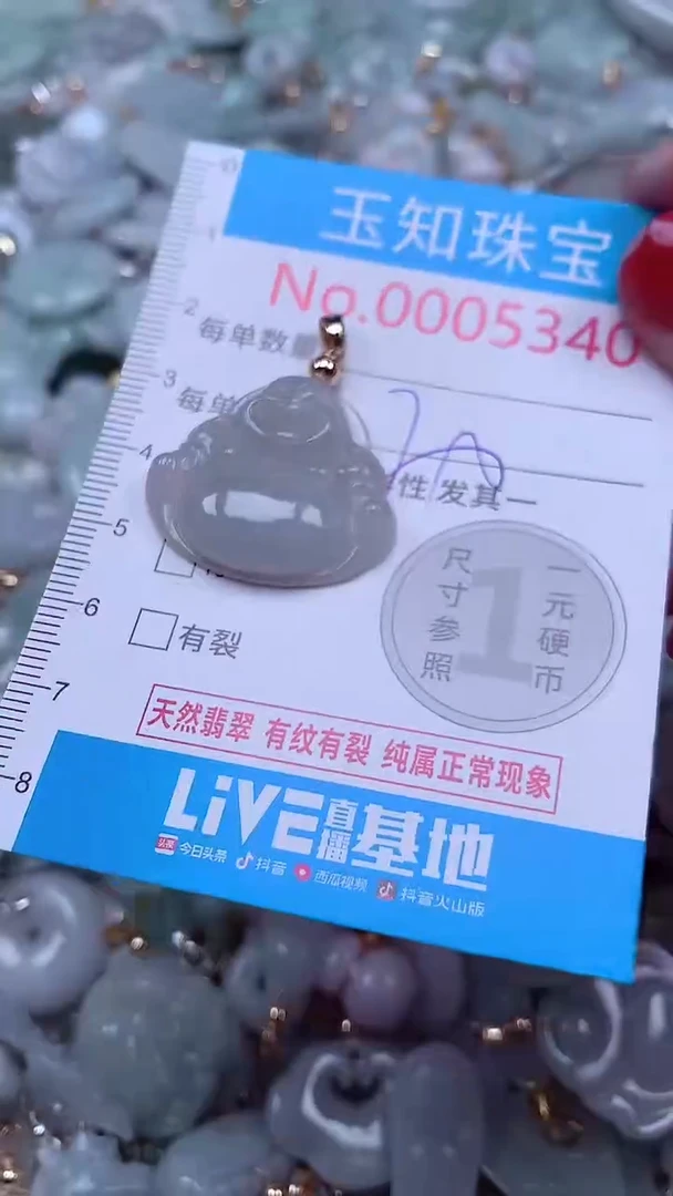 吊坠(不含链)未镶嵌翡翠5340