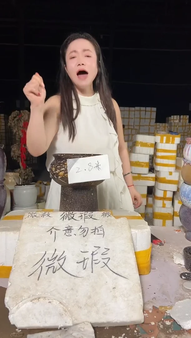 宜兴紫砂粗陶花盆18/20