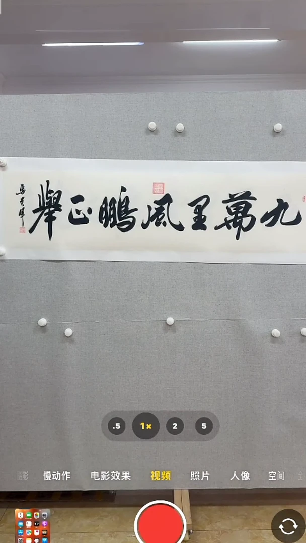 【闪购商品】书法-绘画-马贵军-4平尺书法