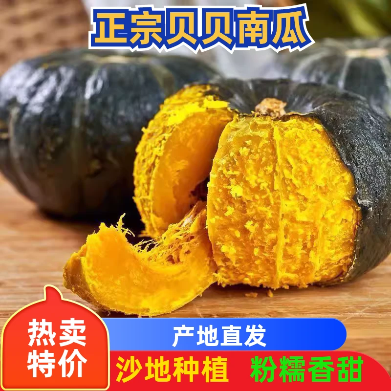 2斤正宗贝贝南瓜粉糯香甜板栗味新鲜现摘小南瓜沙地种植