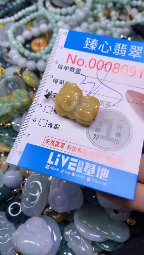 【闪购商品】翡翠颈饰未镶嵌含绳0008091