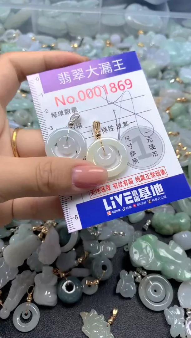颈饰未镶嵌翡翠1869