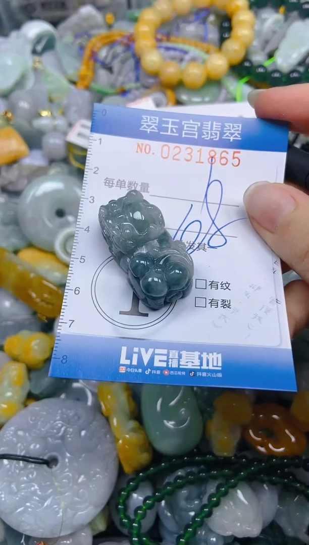 颈饰未镶嵌翡翠闪购C0231865