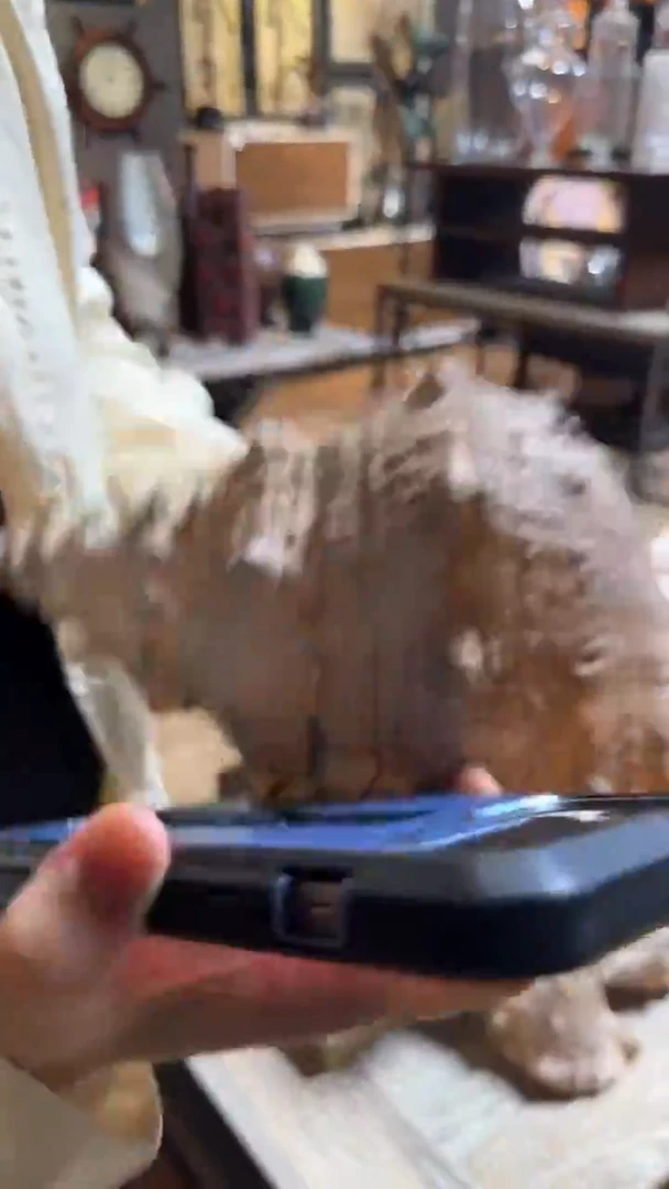 家居装饰设计专业