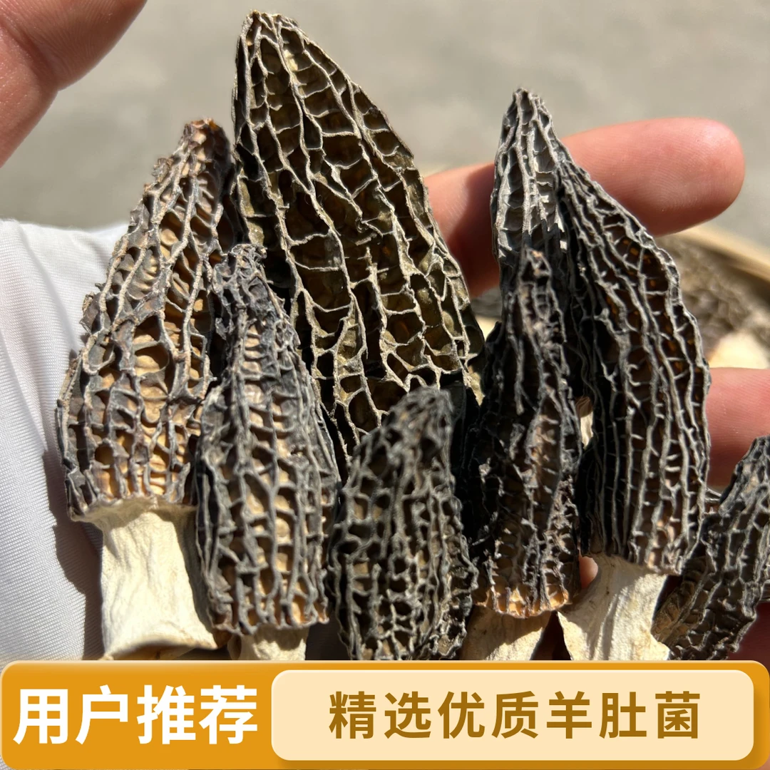 干羊肚菌50g包邮