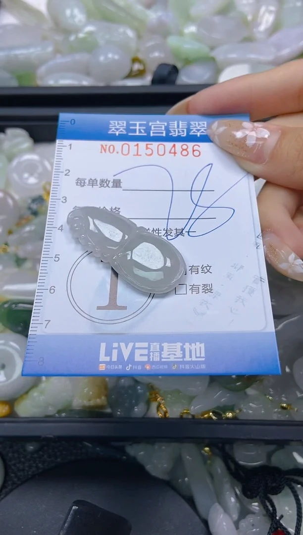 翡翠未镶嵌颈饰闪购0150486