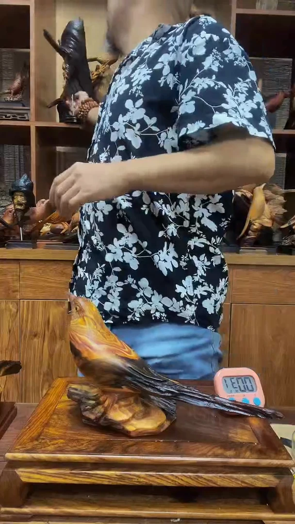 松木老****观定向 老陈自然景观