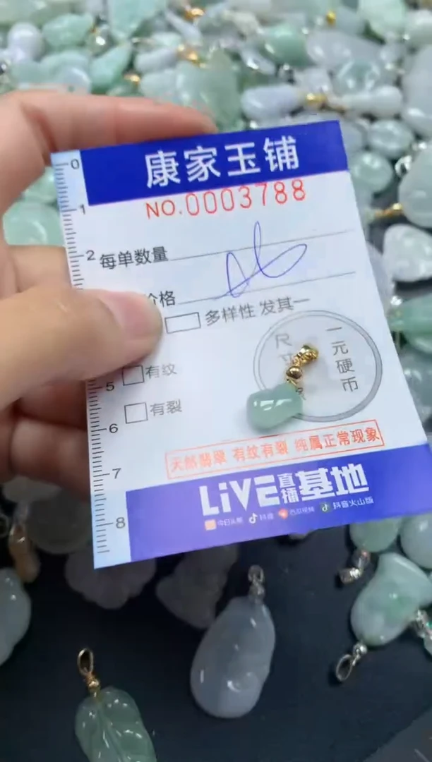 颈饰未镶嵌翡翠3788