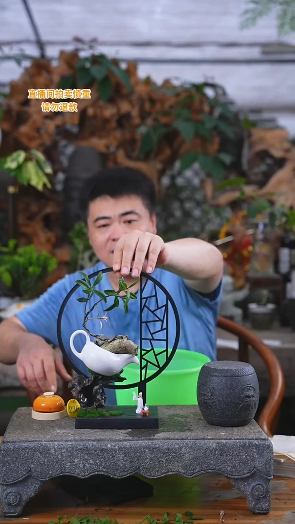 当前无花栽培后可以开花七扇杜鹃236H+
