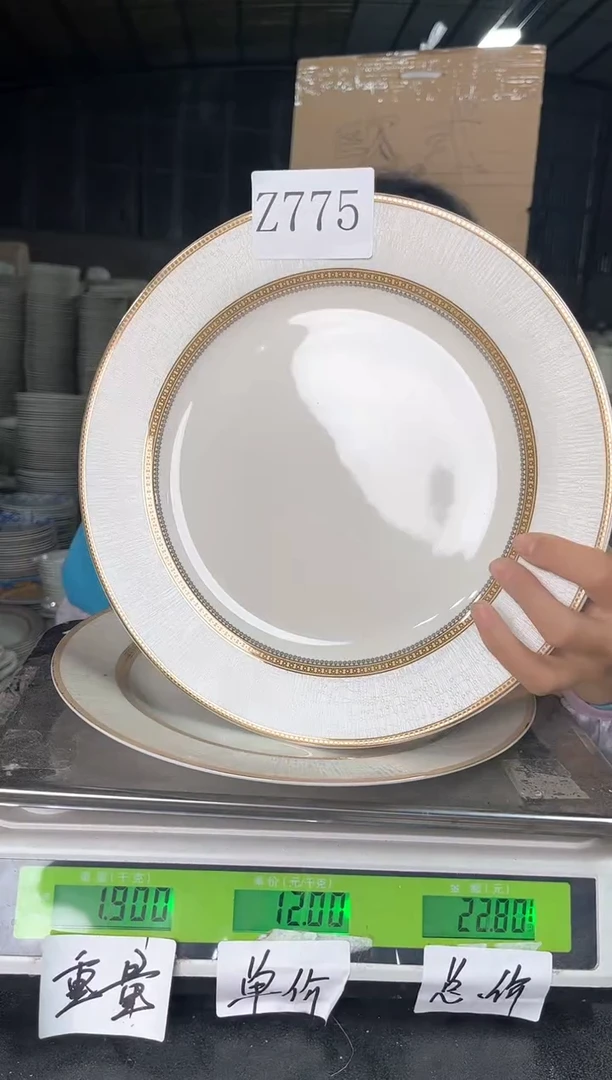 【闪购商品】搪瓷Z775  10.5寸  2个