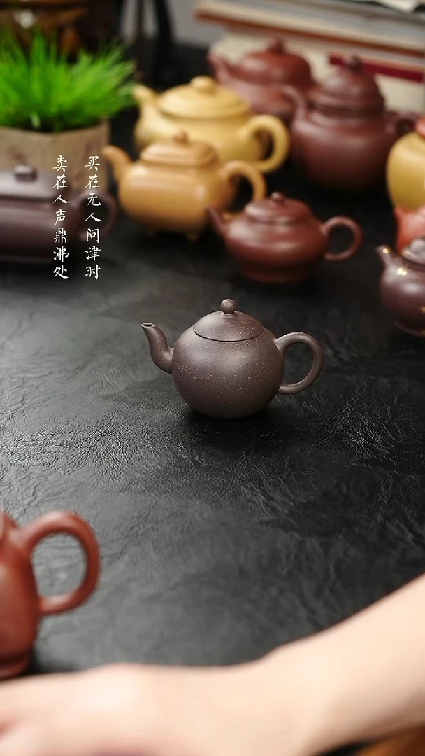 茶壶紫砂黑珍珠紫罗兰小品