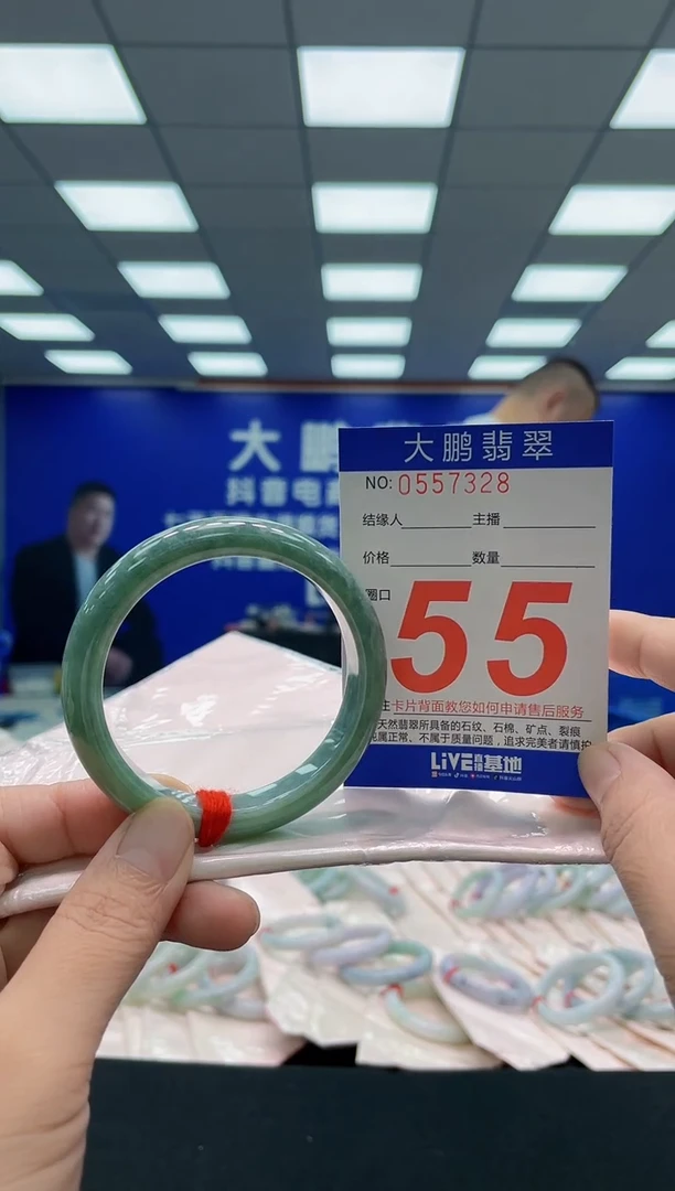 未镶嵌手镯翡翠AAAAAAAAA