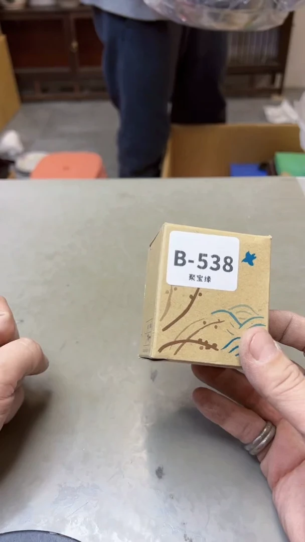 【闪购商品】瓷片538聚宝缘海淘精选