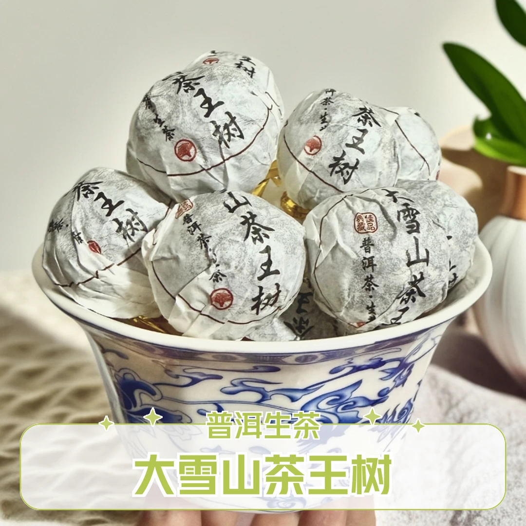 大雪山茶王树茶农少量分享2023年春茶龙珠生茶头春花香古树龙珠