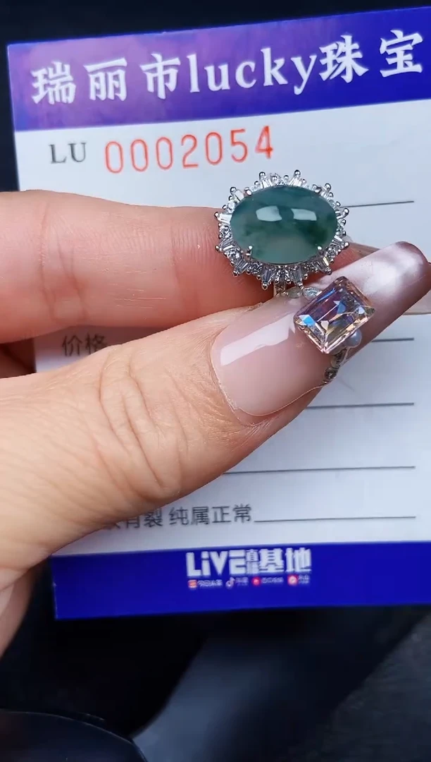 翡翠银S925镶嵌颈饰2054