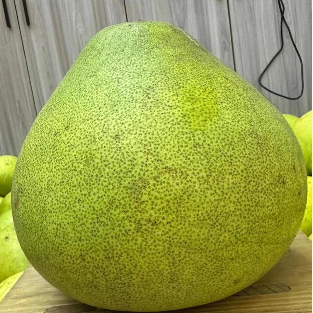 当季新鲜柚子四川广安农家自种白心蜜柚二十年老树现摘现发水果