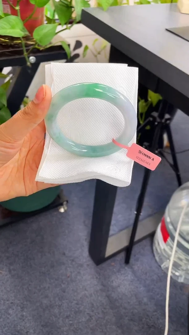 未镶嵌手镯翡翠204-60