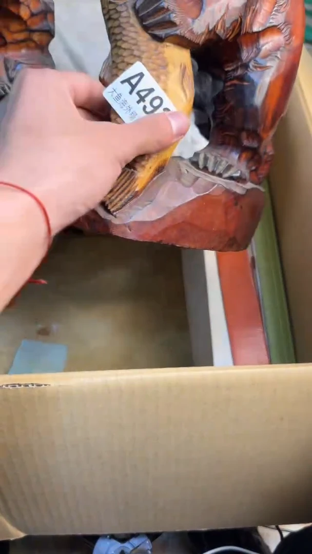 瓷片自****)88888888      492