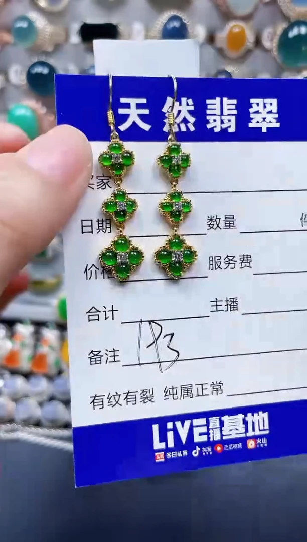 银S925镶嵌翡翠耳饰193