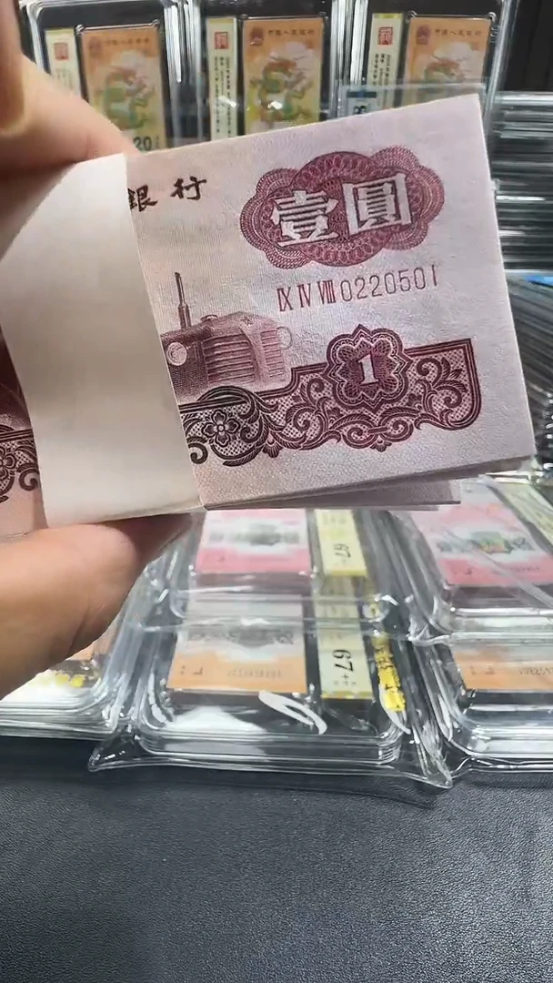 塑料一品红百联0220501