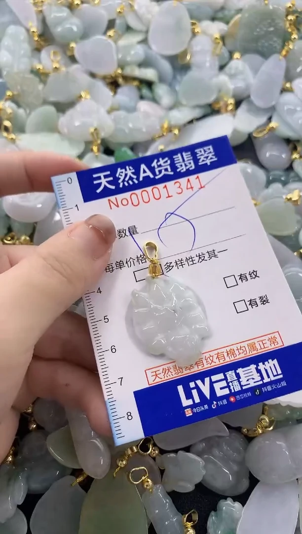 颈饰未镶嵌翡翠天然A货翡翠