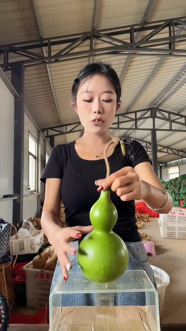 无花朵284天然葫芦摆件 一物一拍龙头不保售后