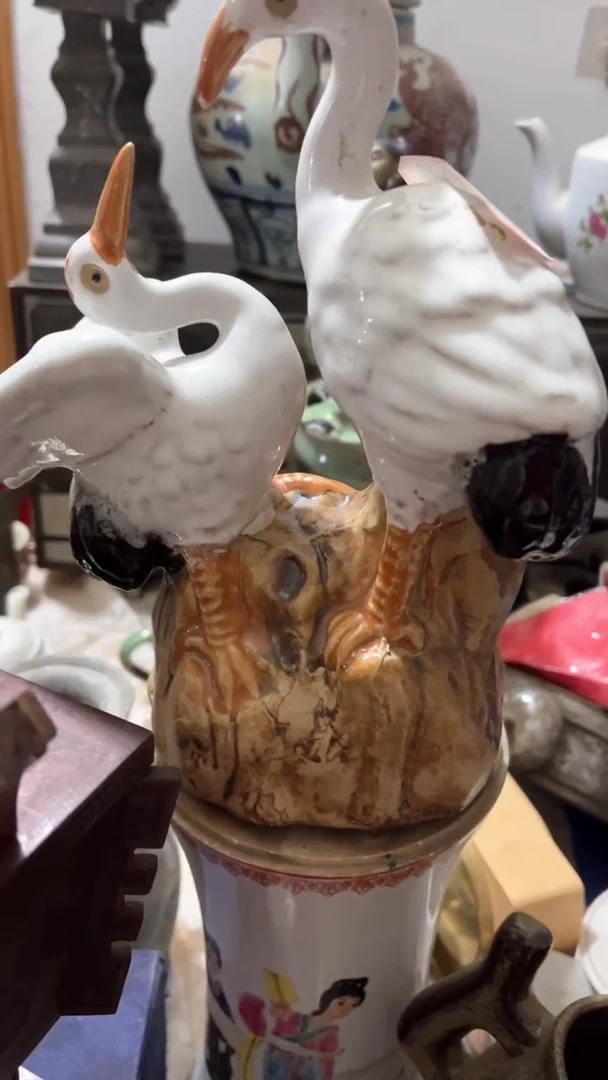 【闪购商品】5315315151456565656