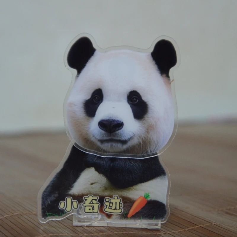 大熊猫小奇迹大头可爱款定制款摇摇乐