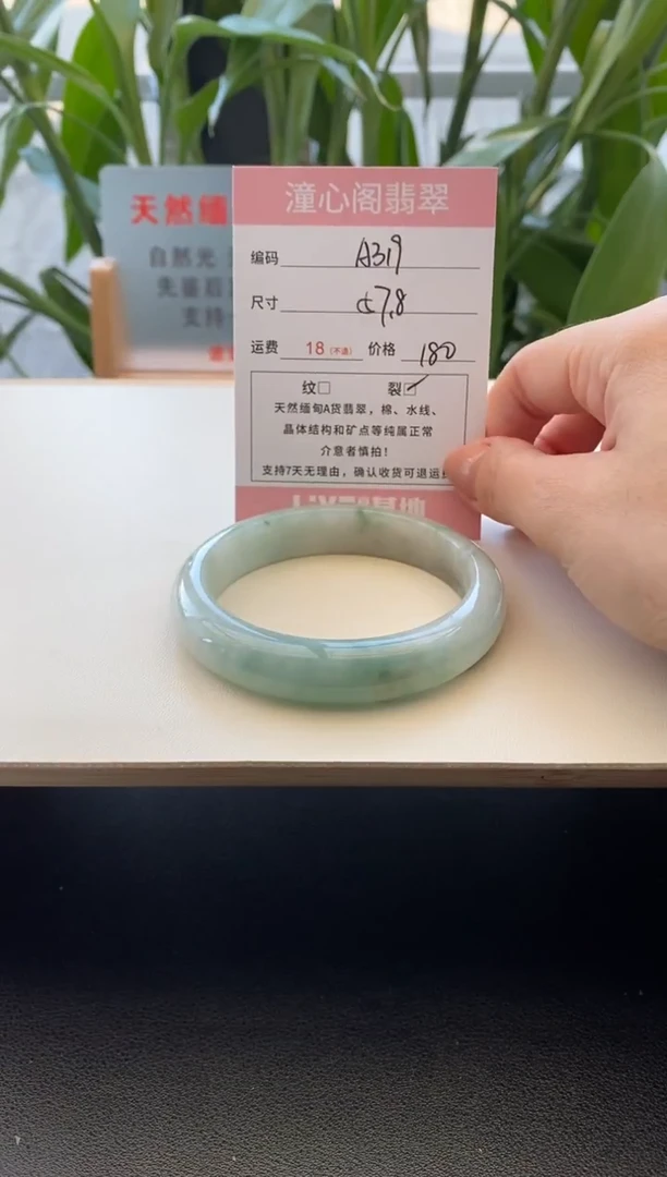 未镶嵌手镯翡翠圈口57.5编码a319