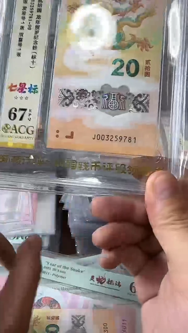 塑料003259781-龙钞标十