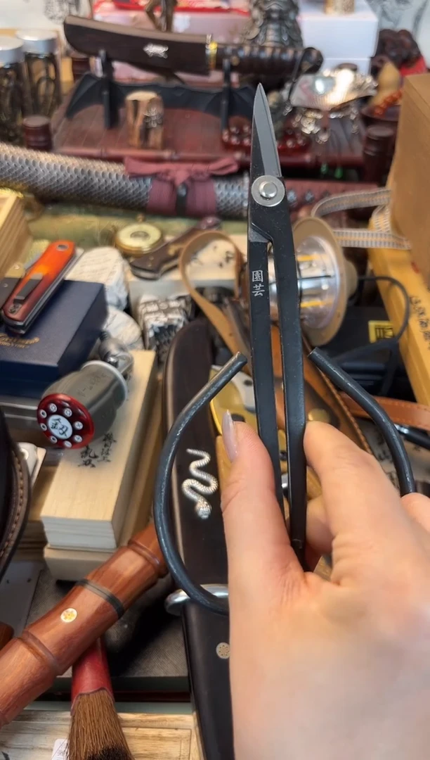 瓷片jian晓魏甄宝阁品质保证