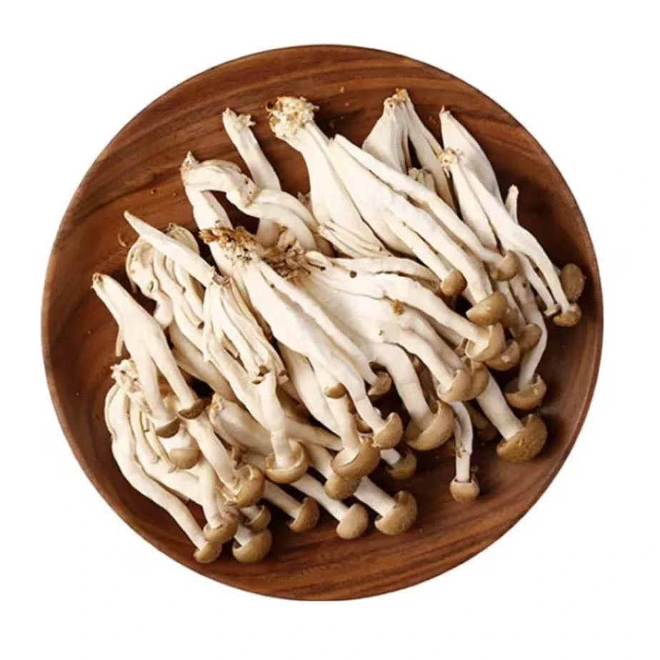 ⑤⑨ • 蟹味菇 125g