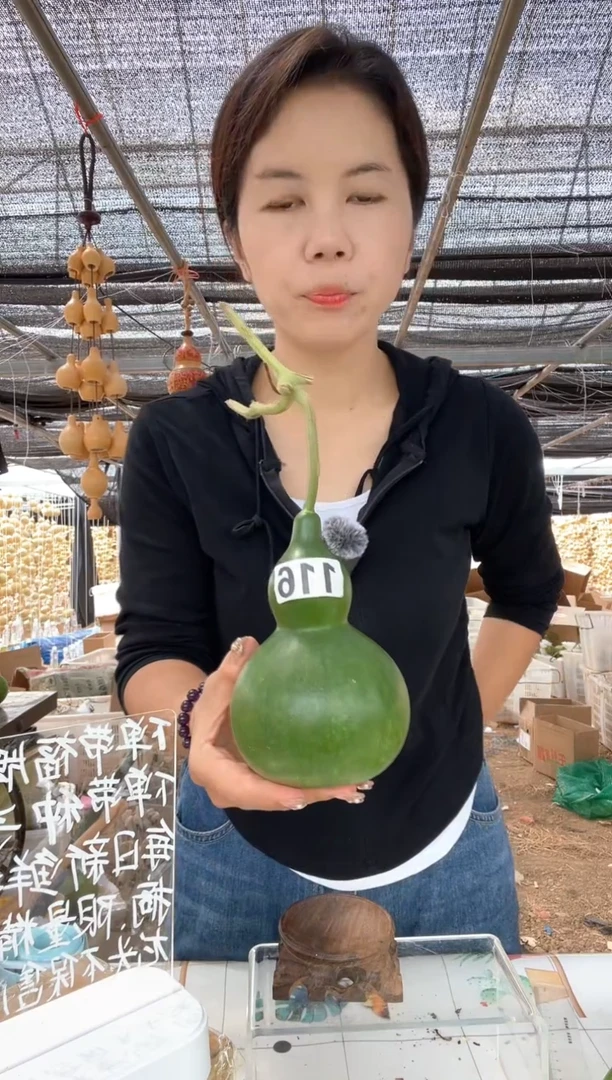 116天然葫芦摆件 一物一拍龙头不保售后