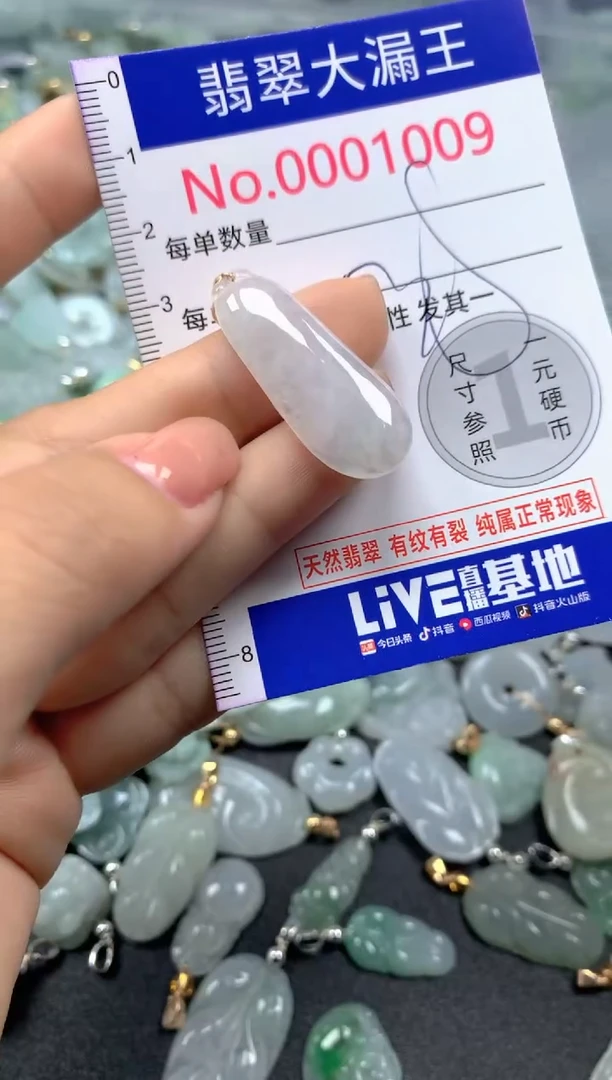 颈饰未镶嵌翡翠1009