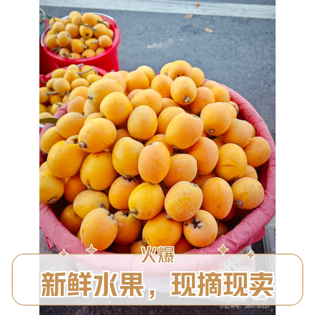 【关支书助农】眉山仁寿农户自种新鲜现摘五星大枇杷