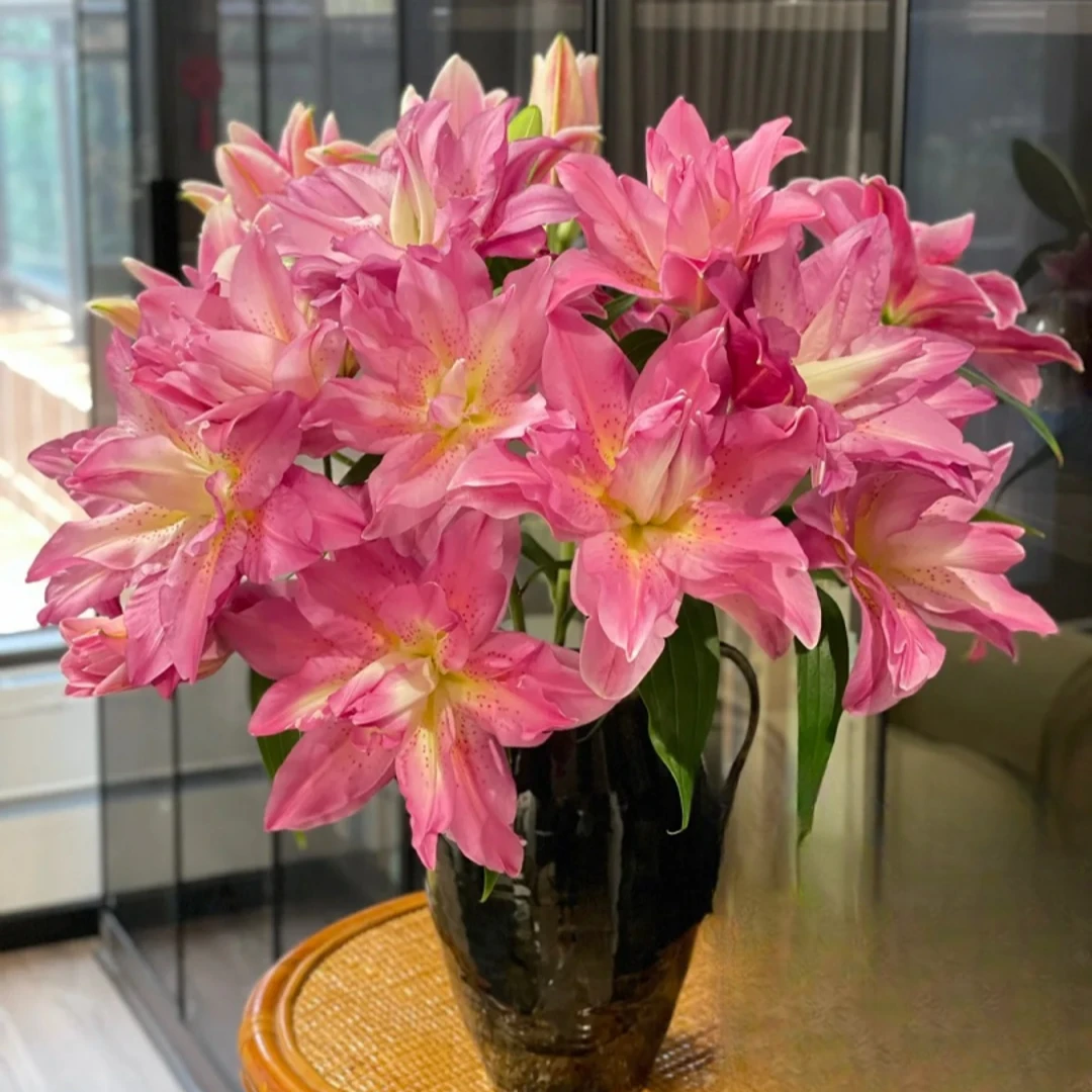 【花王朝】宝莲灯重瓣香水百合-云南直发鲜花水养鲜切花