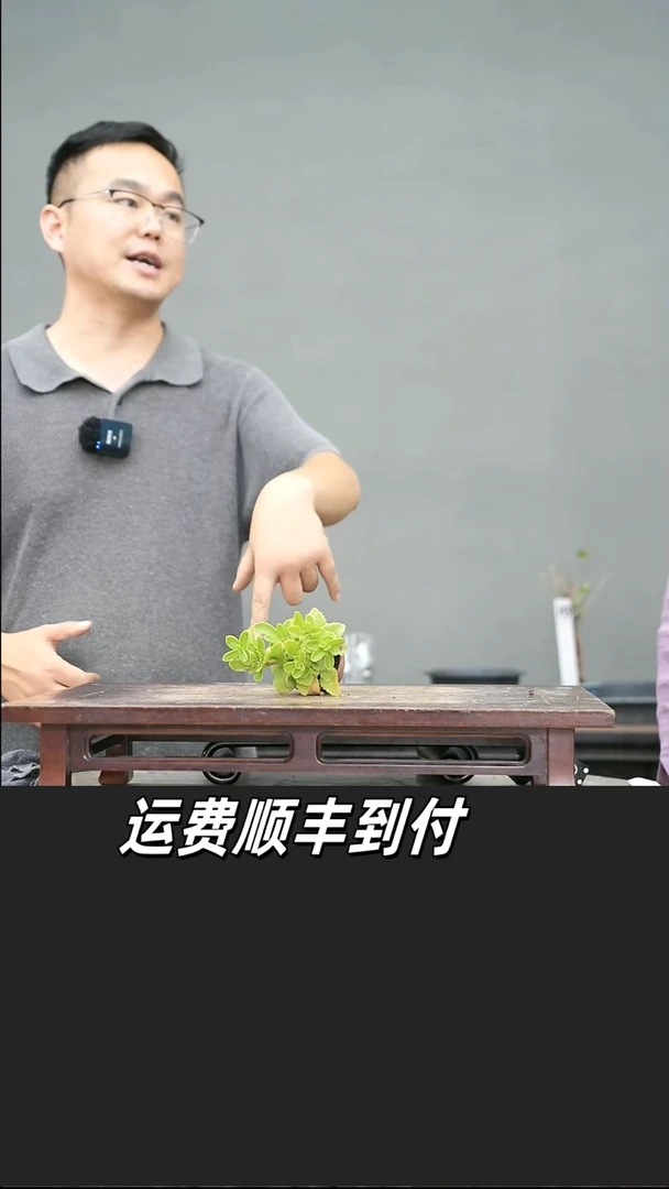山野草