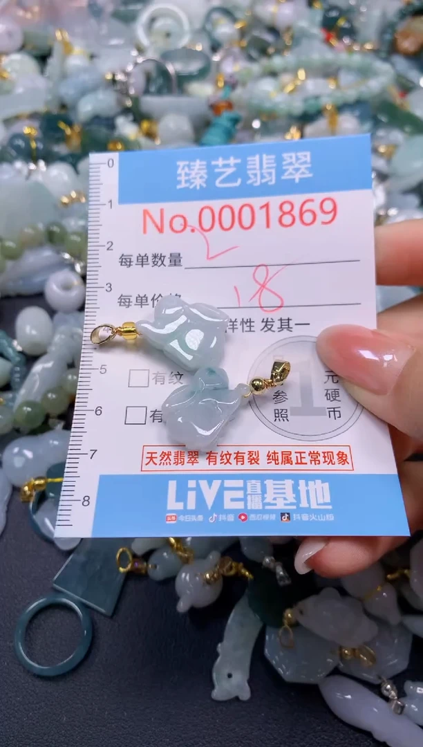 颈饰未镶嵌翡翠1869