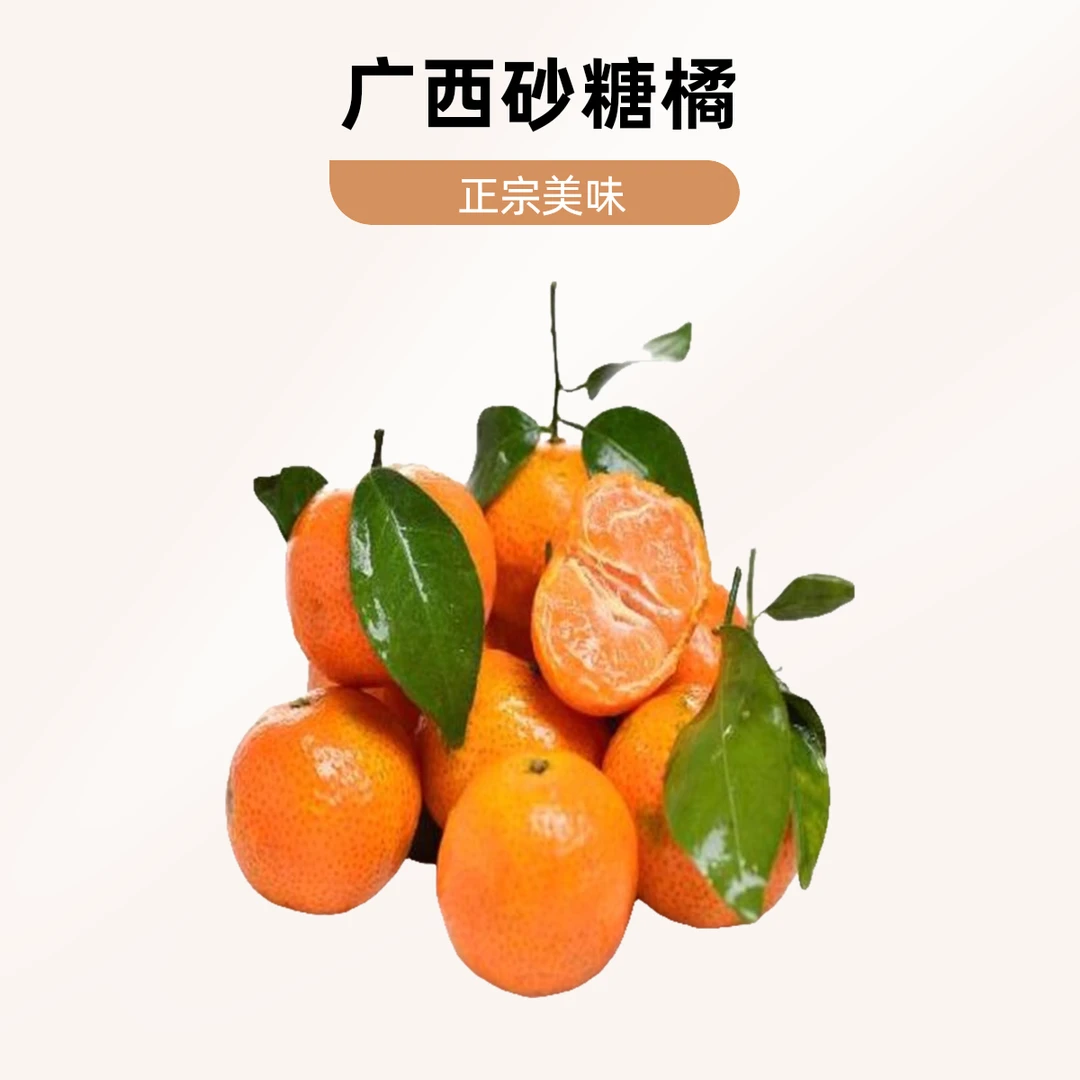 广西正宗砂糖橘2500g