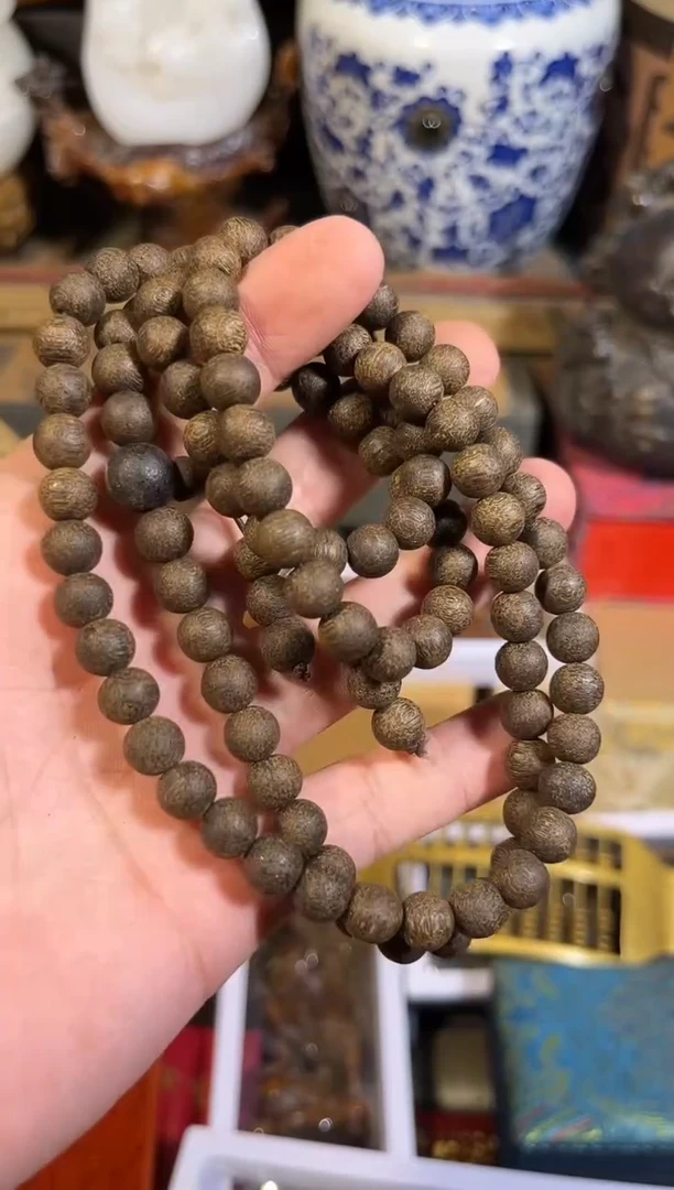 黄杨木1111111111111111111