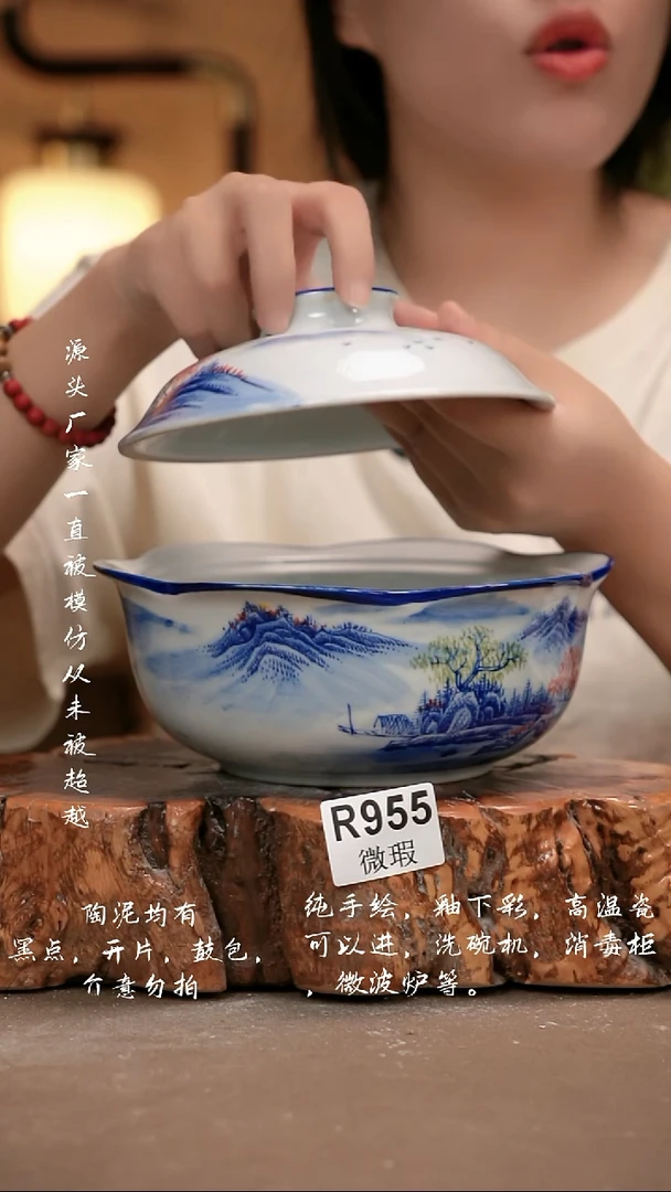 其他WR955 新十二器